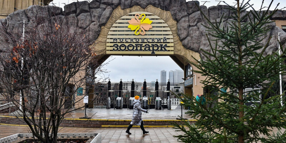 Зоопарк и музеи Москвы направят выручку за выходные в помощь пострадавшим